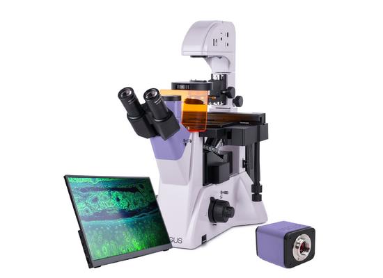 Микроскоп люминесцентный MAGUS Lum VD500 LCD