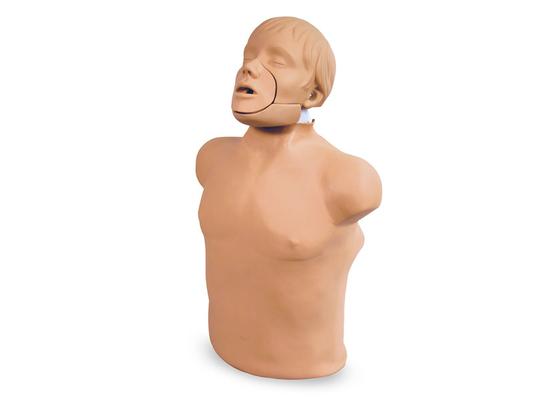Манекен Брэд (торс) для сердечно-легочной реанимации с выдвижной нижней челюстью/CPR-Torso BRED-JAW