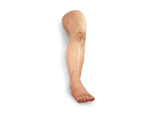 Модель ноги с хирургическим швом
