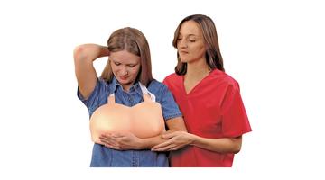 Бюстгальтерная модель женской груди